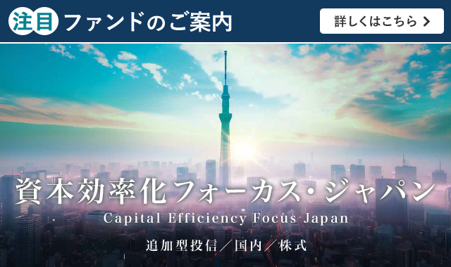 資本効率化フォーカス・ジャパン